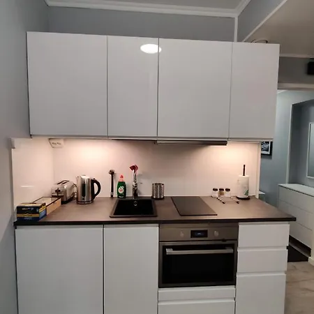 Alexi Apartments - Newly Renovated Apt In The Heart Of The City Near To Railway Station And Nokia Arena Tampere Extérieur photo