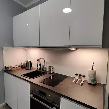 Alexi Apartments - Newly Renovated Apt In The Heart Of The City Near To Railway Station And Nokia Arena Tampere Extérieur photo