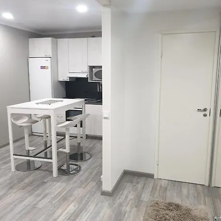 Alexi Apartments - Newly Renovated Apt In The Heart Of The City Near To Railway Station And Nokia Arena Tampere Extérieur photo